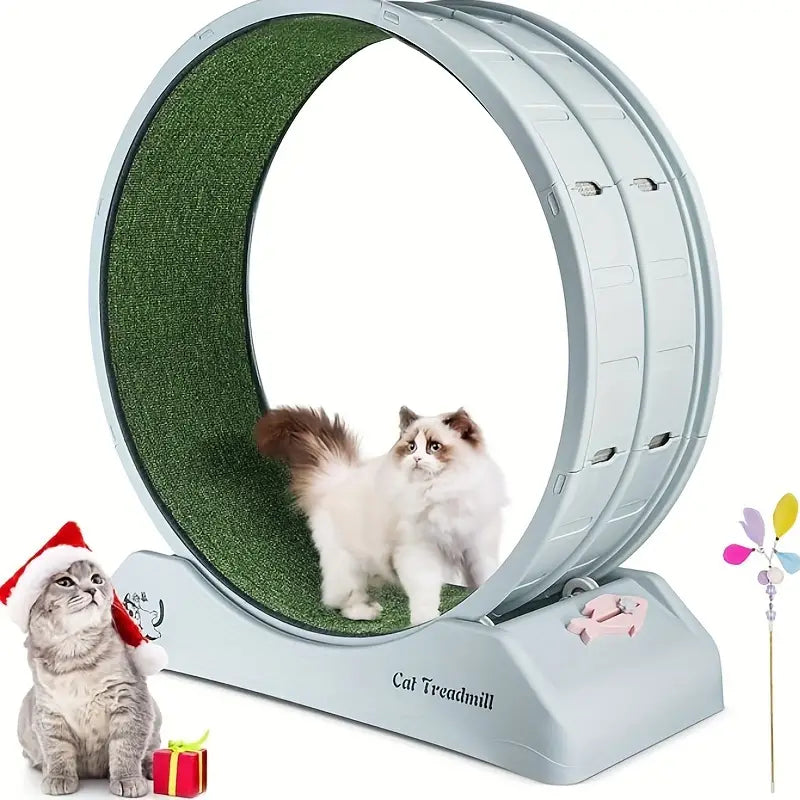 Roue de fitness pour animaux NNETM – Tapis roulant interactif pour chats et chiens, gris